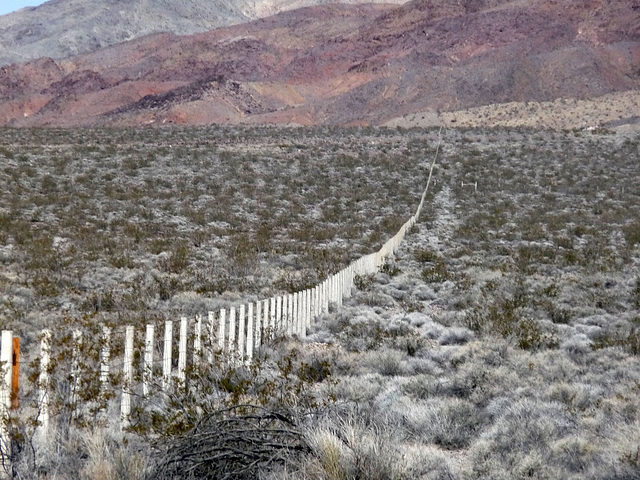 Lower Vine Ranch Fence (3424)