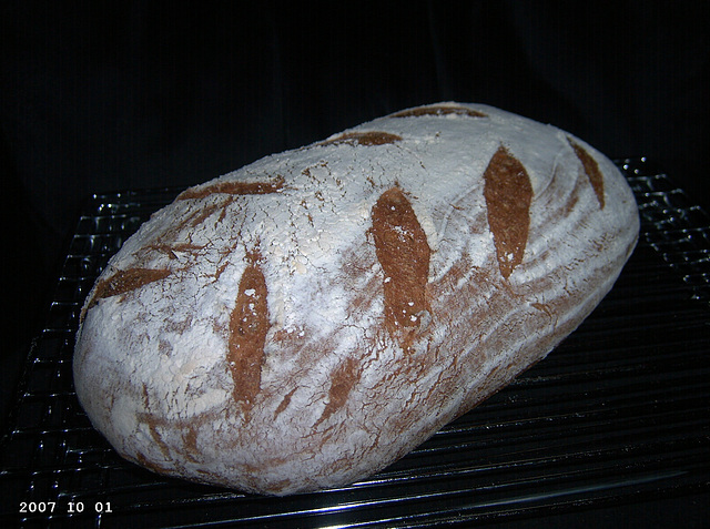 German-Style Whole Wheat Bread 1