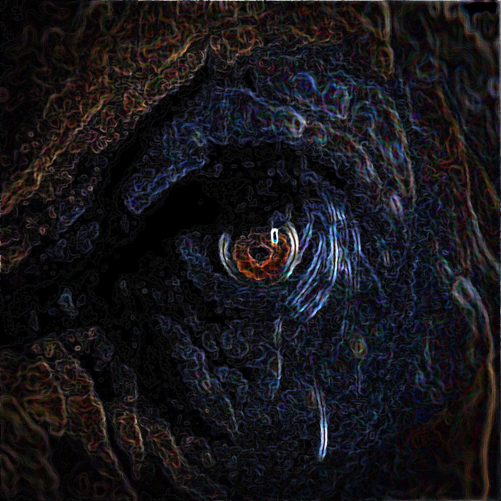Elephant’s Eye