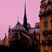 Paris, Cathédrale Notre-Dame, vue de la Pont de Sully