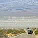 Wildrose Road - Panamint Valley (9644)