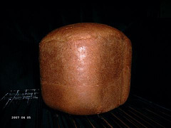 Norwegian Whole Wheat Bread 1