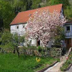 Mein Haus in Oberposta - Pirna