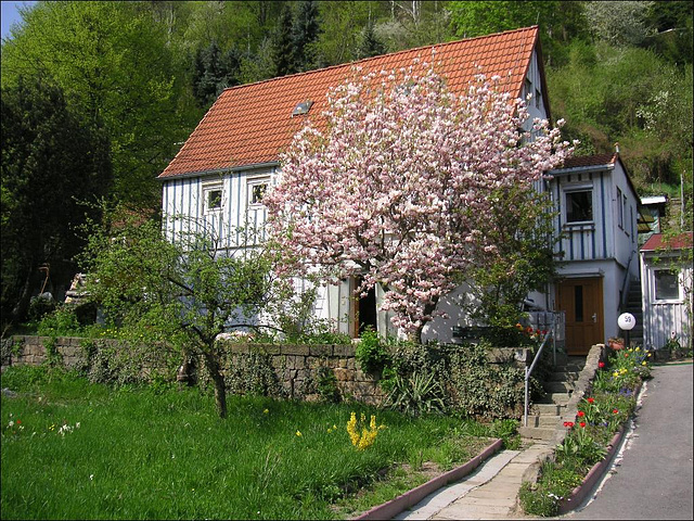 Mein Haus in Oberposta - Pirna