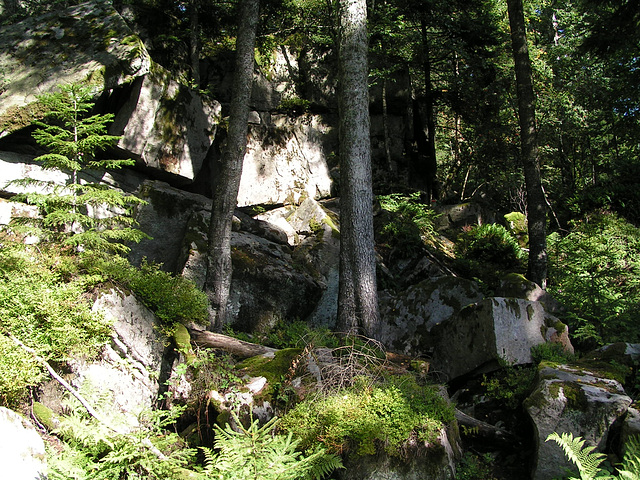 Schwarzwald: Dobel
