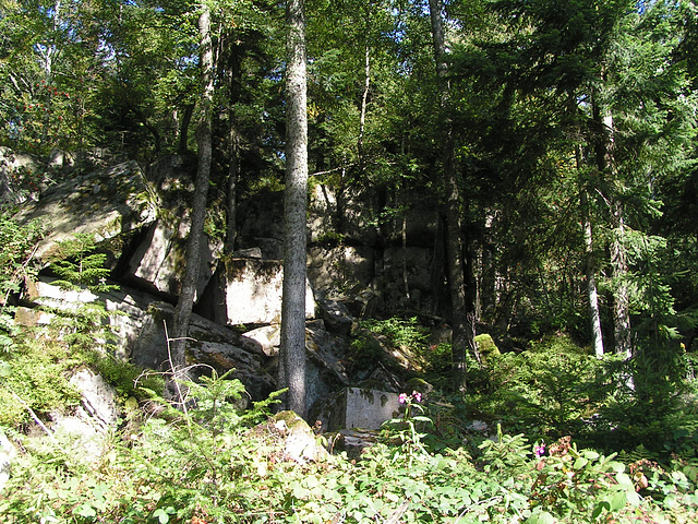 Schwarzwald: Dobel