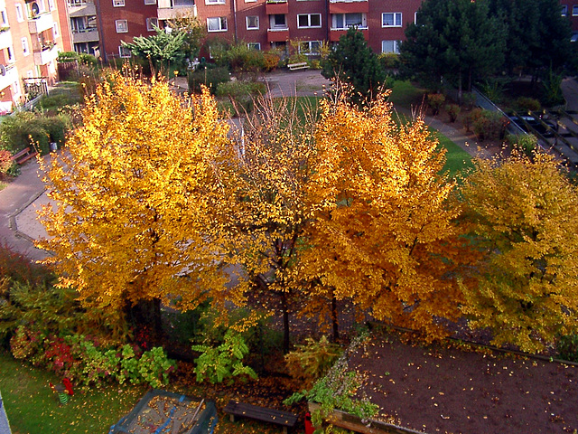Autumn / Herbst
