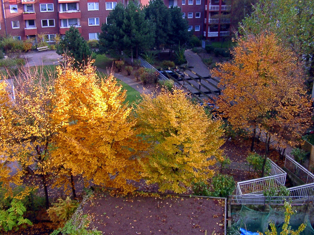 Autumn / Herbst