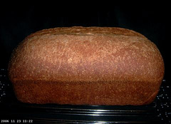 Buttermilk Whole Wheat Bread 1