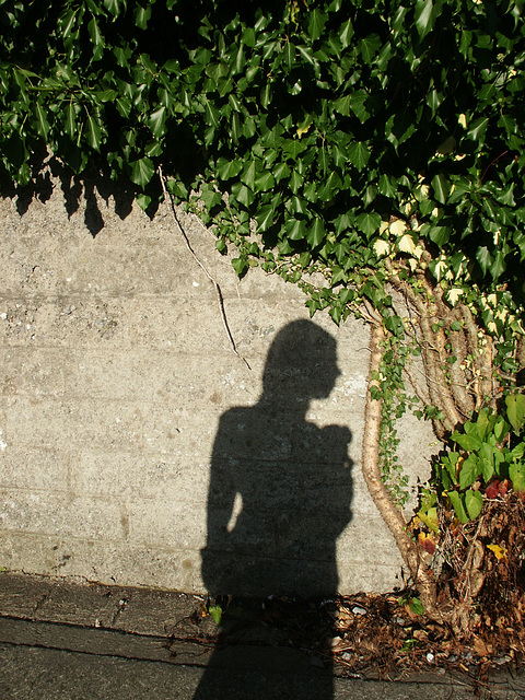 just a shadow