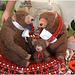 teddybear family reunion 1
