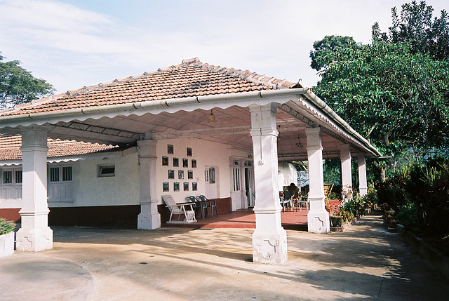 Coffee Estate near Mangalore