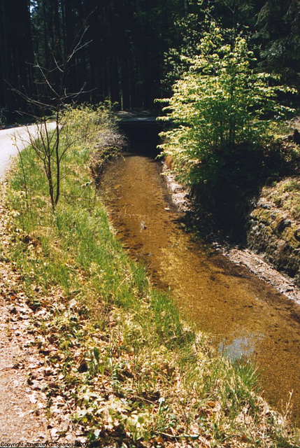 Schwartzenberg Canal In Sumava, Bohemia(CZ), 2007