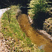 Schwartzenberg Canal In Sumava, Bohemia(CZ), 2007