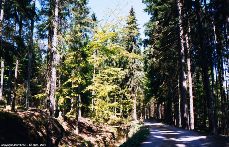 Sumava Hike, Picture 5, Bohemia(CZ), 2007