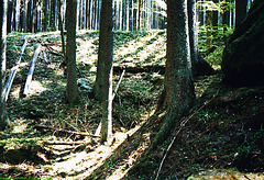 Sumava Hike, Picture 11, Budejovicky Kraj, Bohemia(CZ), 2007