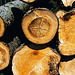 Logs In Sumavsky Narodni Pamatka, Picture 3, Budejovicky Kraj, Bohemia(CZ), 2007