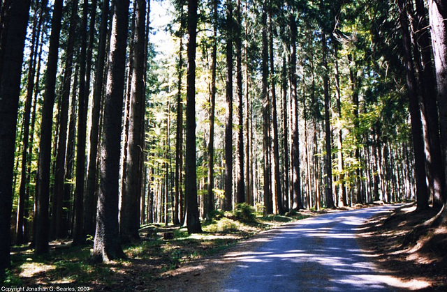 Path, Sumavsky Narodni Pamatka, Budejovicky Kraj, Bohemia(CZ), 2007