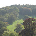 Polesden Lacey nice view