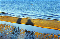Shadows on the beach..