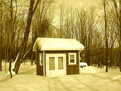 Petit chalet solitaire parmi la neige immaculée /   Small chalet among the immaculate snow - Quebec / CANADA -  Sepia