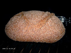 No-Knead (Volkoren) Bread 2