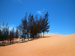 Bình Thuận Dunes, Vietnam