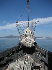 RIQUITUM, sail's nest (2)