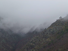 20130324 Fee Cabirllac (Mt Aigoual) (76) ledge