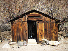 Newman Cabin in Goler Wash (4253)
