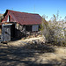 Cabin In Striped Butte Valley (4295)