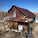 Cabin In Striped Butte Valley (4290)