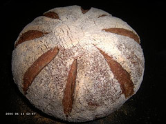 Whole Wheat Bread with Multigrain Soaker