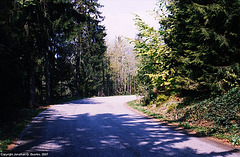 Austria Hike, Picture 2, Schoneberg, Austria, 2007