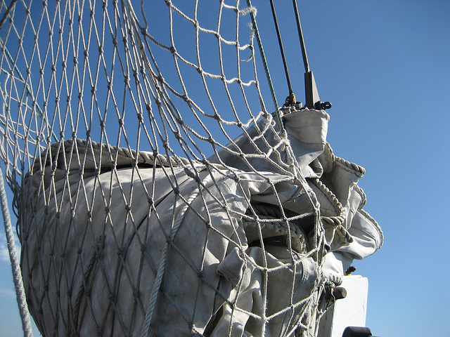 RIQUITUM, sail's nest (1)