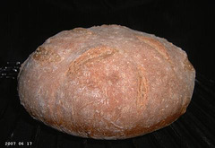 Wheat Bread 1