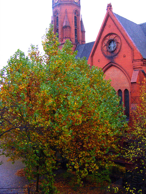 Herbstbaum mit Kirche