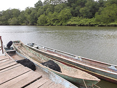 Pirogues Wounaan  / Wounaan  canoes