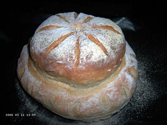 Landelijk (spelt-wit)brood