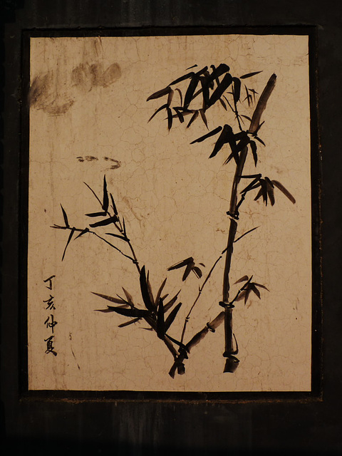 Motív - bambus