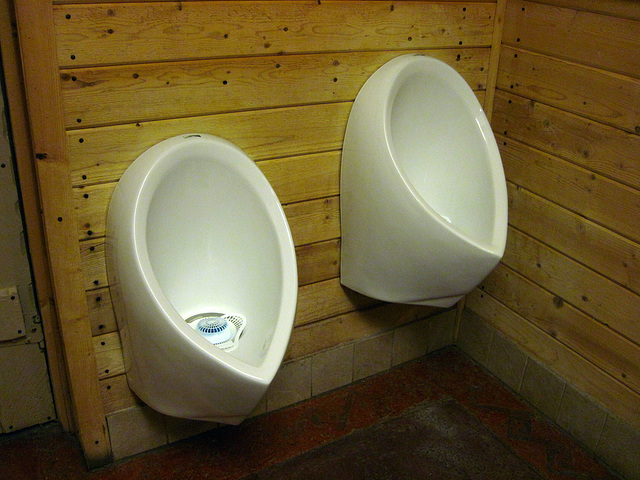 Urinals At Stovepipe Wells (4226)