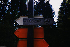 Plesne Jezero Sign, Sumavsky Narodni Pamatka, Bohemia(CZ), 2007