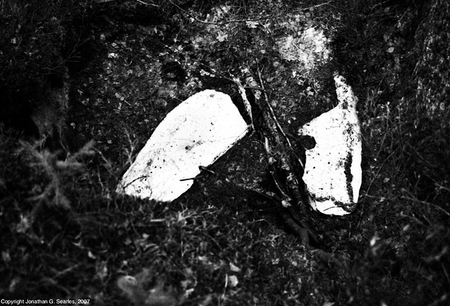 Sumava Hike, Picture 16, Black & White Version, Sumavsky Narodni Pamatka, Bohemia(CZ), 2007