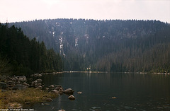 Plesne Jezero, Sumavsky Narodni Pamatka, Bohemia(CZ), 2007
