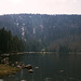Plesne Jezero, Sumavsky Narodni Pamatka, Bohemia(CZ), 2007