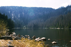 Plesne Jezero, Picture 2, Sumavsky Narodni Pamatka, Bohemia(CZ), 2007