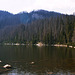 Plesne Jezero, Picture 3, Sumavsky Narodni Pamatka, Bohemia(CZ), 2007
