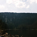 Plesne Jezero, Picture 4, Sumavsky Narodni Pamatka, Bohemia(CZ), 2007