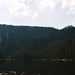 Plesne Jezero, Picture 5, Sumavsky Narodni Pamatka, Bohemia(CZ), 2007