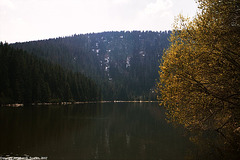 Plesne Jezero, Picture 8, Sumavsky Narodni Pamatka, Bohemia(CZ), 2007